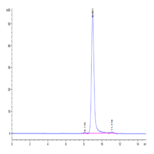 Human HLA-A*11
