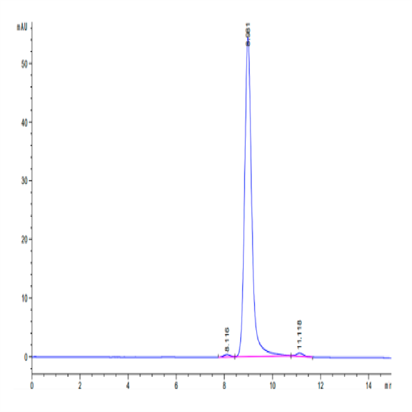 Human HLA-A*11 Human HLA-A*11