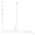 Human HLA-A*11