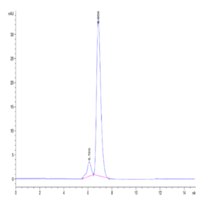 Human HLA-A*11