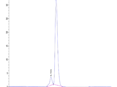 Human HLA-A*11