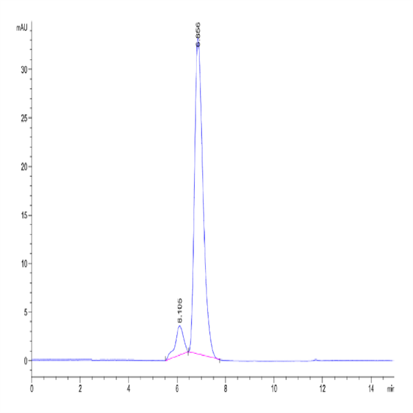 Human HLA-A*11 Human HLA-A*11