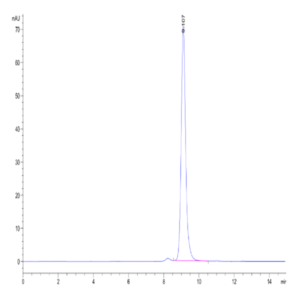 Human Peptide Ready HLA-A*02