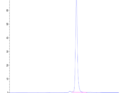 Human Peptide Ready HLA-A*02