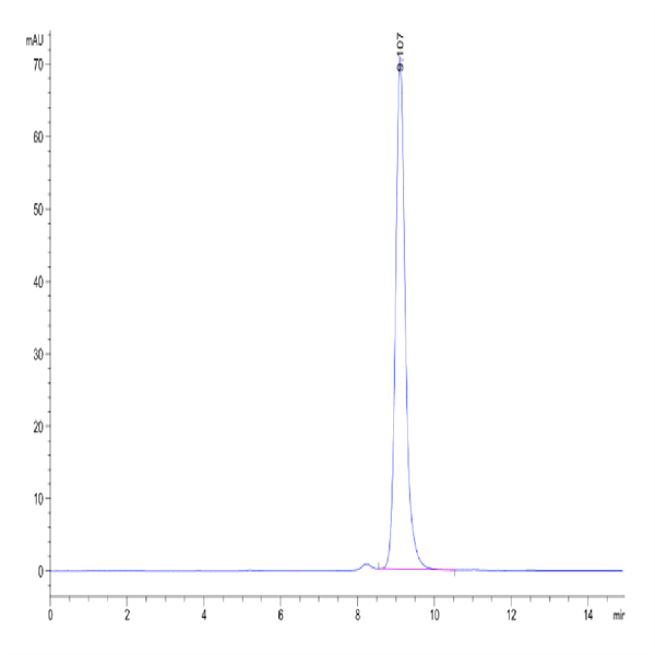 Human Peptide Ready HLA-A*02 Human Peptide Ready HLA-A*02