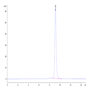 Biotinylated Human Peptide Ready HLA-A*02