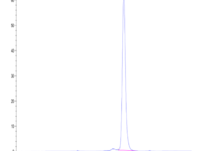 Biotinylated Human Peptide Ready HLA-A*02