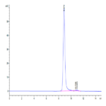 Human HLA-A*11