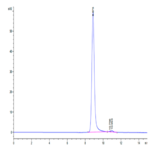 Human HLA-A*11