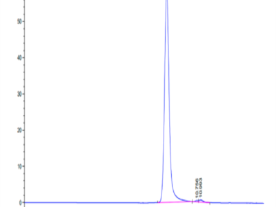 Human HLA-A*11