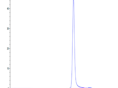 Biotinylated Human HLA-A*11