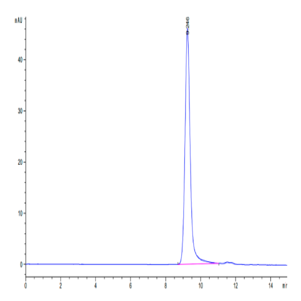 Biotinylated Human HLA-A*11