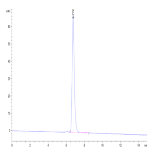 Human HLA-A*11