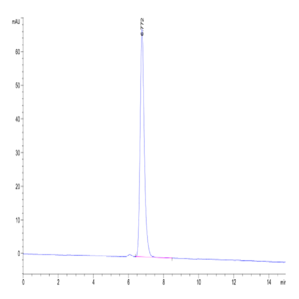 Human HLA-A*11 Human HLA-A*11