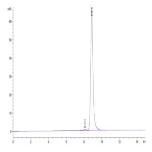 Human HLA-A*11
