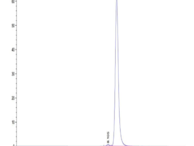 Biotinylated Human HLA-A*11