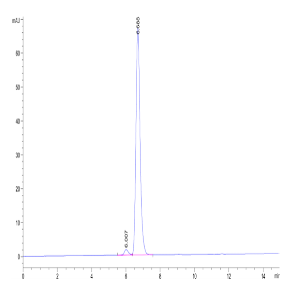 Human HLA-A*11