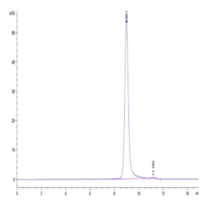 Human HLA-A*11