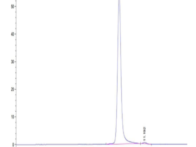 Human HLA-A*11