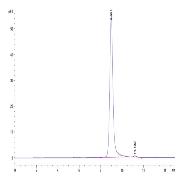 Human HLA-A*11