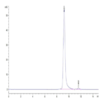 Biotinylated Human HLA-A*11