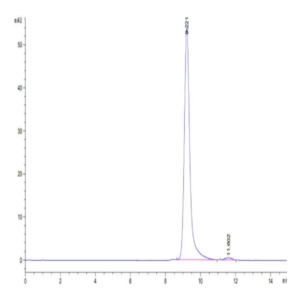 Biotinylated Human HLA-A*11