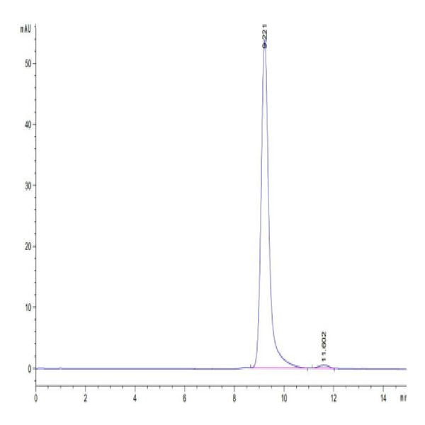 Biotinylated Human HLA-A*11 Biotinylated Human HLA-A*11