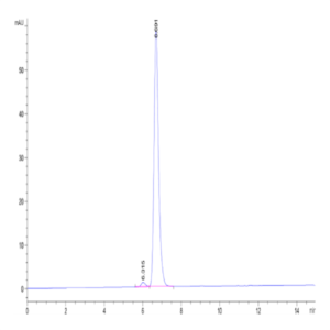 Human HLA-A*11