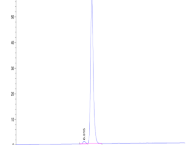 Human HLA-A*11