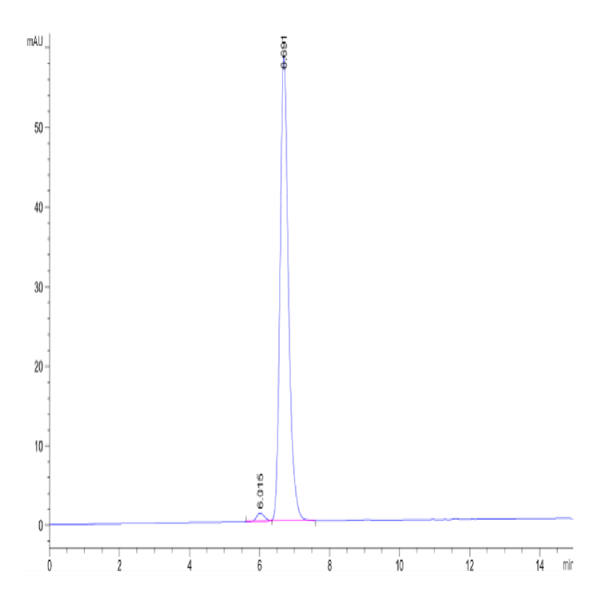 Human HLA-A*11