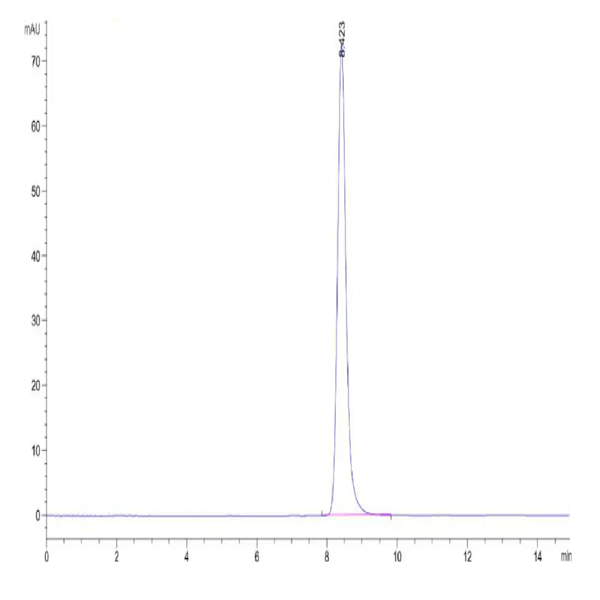 Human HLA-A*02