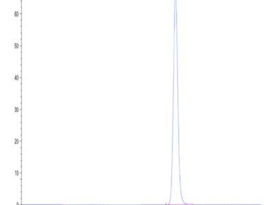 Biotinylated Human HLA-A*02