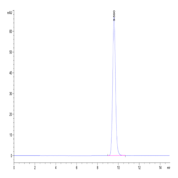 Biotinylated Human HLA-A*02