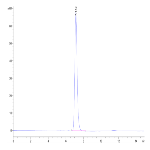 Human HLA-A*02 Human HLA-A*02