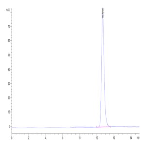 Human HLA-A*02