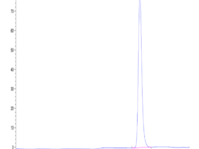 Human HLA-A*02