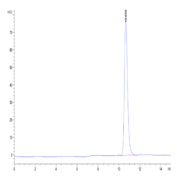 Human HLA-A*02 Human HLA-A*02