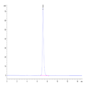 Human HLA-A*02