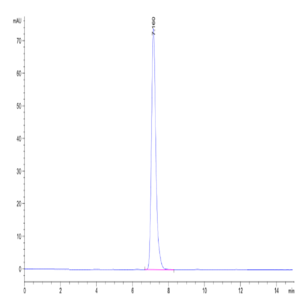 Human HLA-A*02 Human HLA-A*02