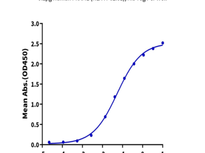 Human HLA-A*02