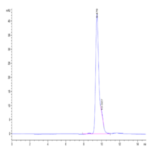 Human HLA-A*02