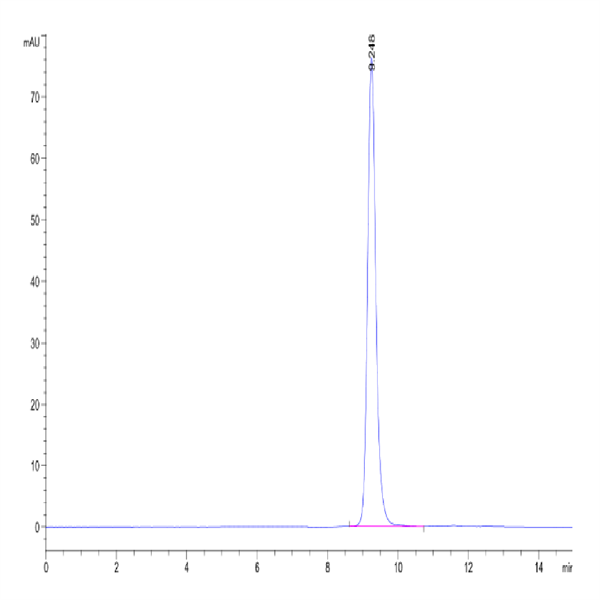 Human HLA-B*15 Human HLA-B*15