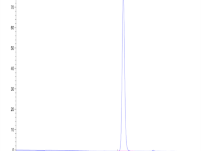 Biotinlylated Human HLA-B*15