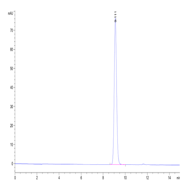 Biotinlylated Human HLA-B*15