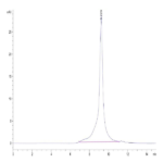 Biotinylated Human Peptide Ready HLA-A*03