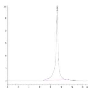 Biotinylated Human Peptide Ready HLA-A*03