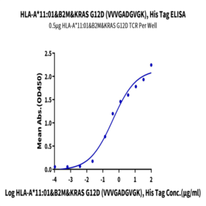 Human HLA-A*11