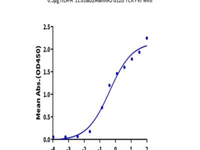 Human HLA-A*11