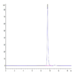 Biotinylated Human HLA-A*11