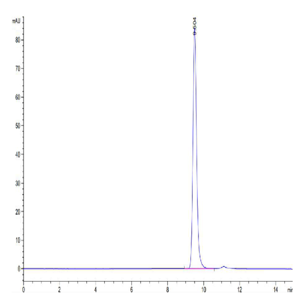 Biotinylated Human HLA-A*11